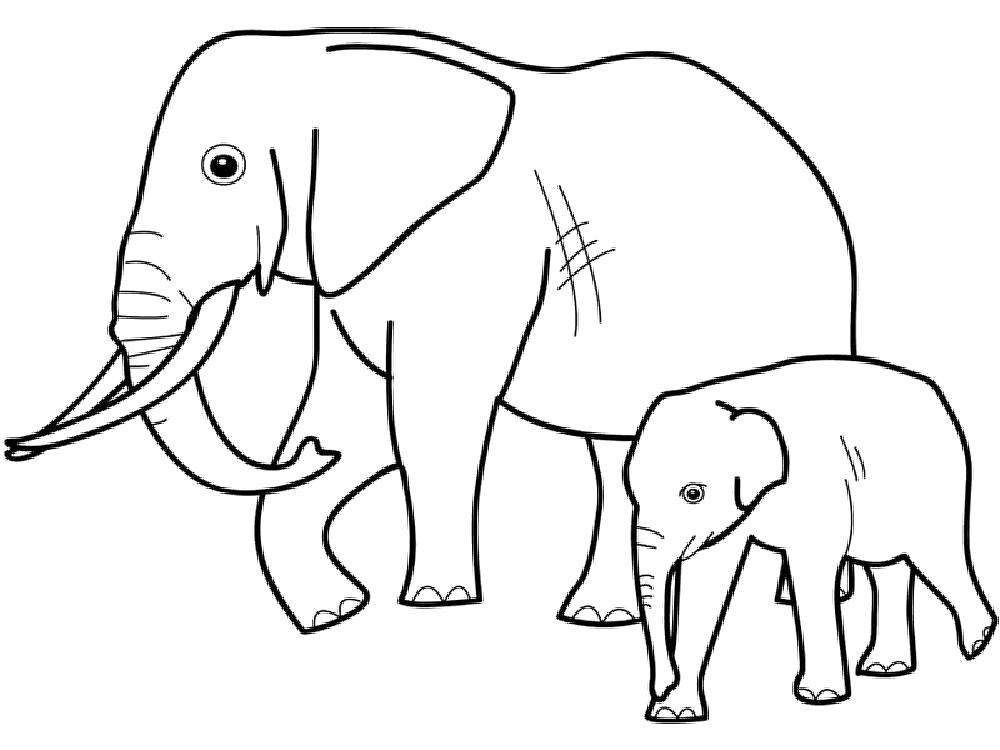 Раскраска Раскраска слониха и слоненок. слон