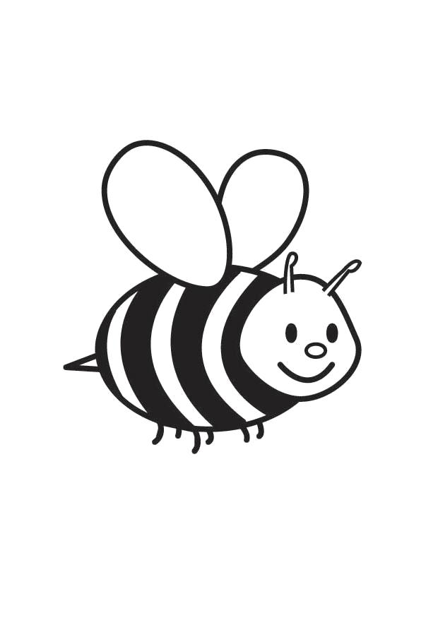 Название: Раскраска Пчела. Категория: Насекомые. Теги: Пчела.