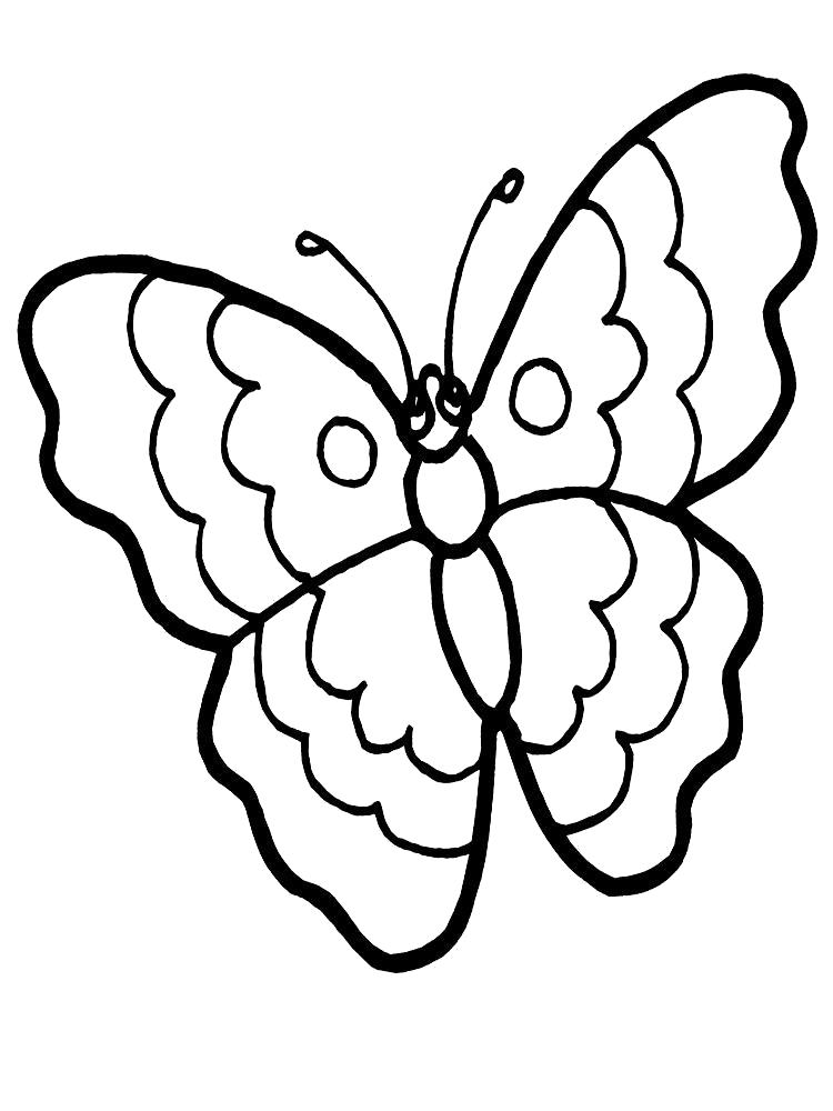 Название: Раскраска бабочка для вырезания. Категория: Бабочки. Теги: Бабочки.