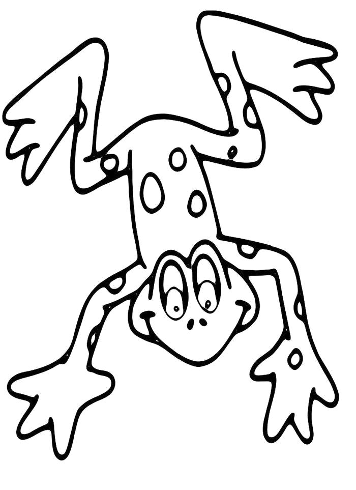 Раскраска Раскраска Лягушонок с большими лапами. лягушка