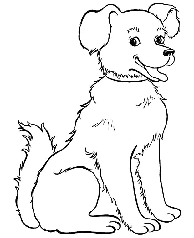 Название: Раскраска  щенок с бантиком. Категория: Домашние животные. Теги: Щенок.