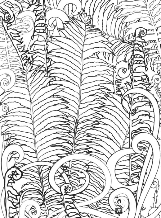 Раскраска  Заколдованный лес. Раскраска-антистресс для творчества и вдохновения | Лабиринт - книги. Источник: Лабиринт. антистресс