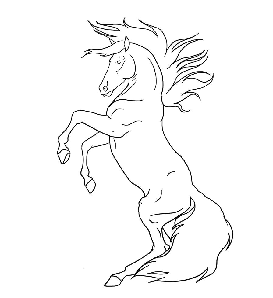 Название: Раскраска Величественная лошадь. Категория: Домашние животные. Теги: Лошадь.