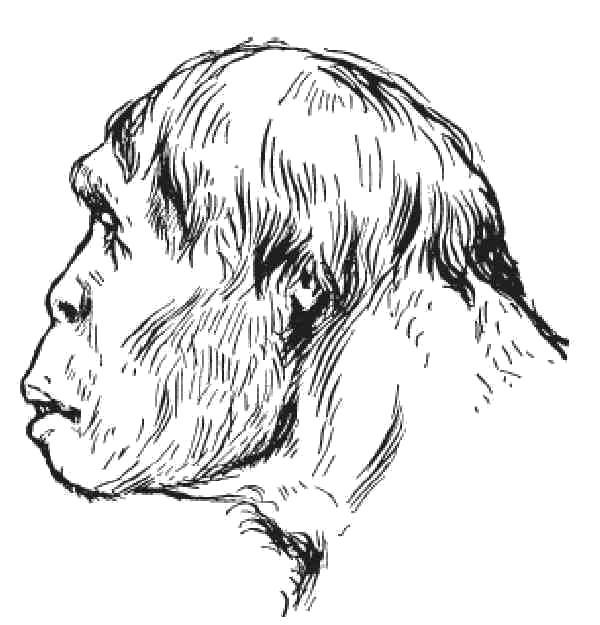 Древний человек рисунок поэтапно