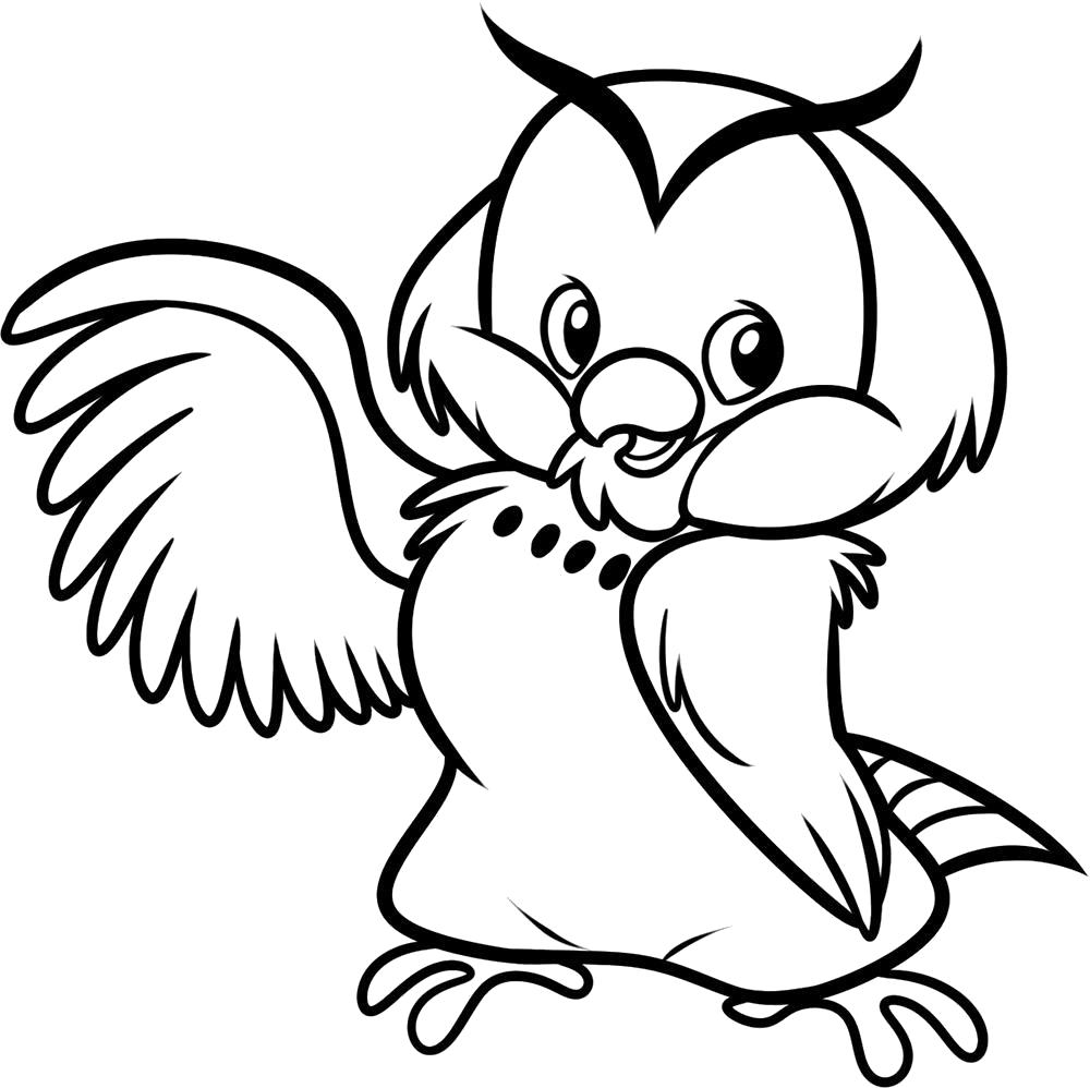 Название: Раскраска Раскраска сова. Категория: Сова. Теги: Сова.
