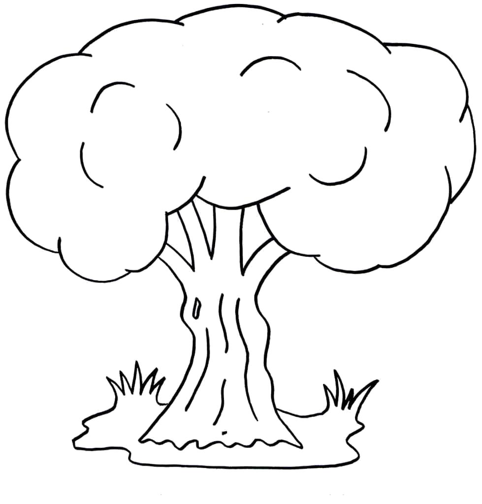 Название: Раскраска мощный дуб. Категория: дерево. Теги: дерево.