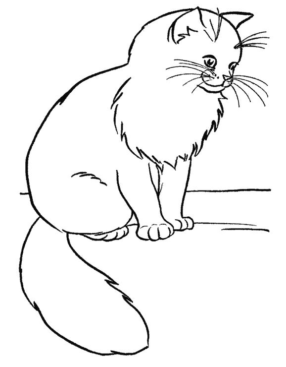 Название: Раскраска пушистая кошка. Категория: Домашние животные. Теги: кошка.