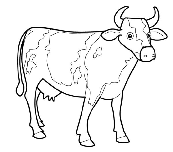 Название: Раскраска корова. Категория: Домашние животные. Теги: Корова.