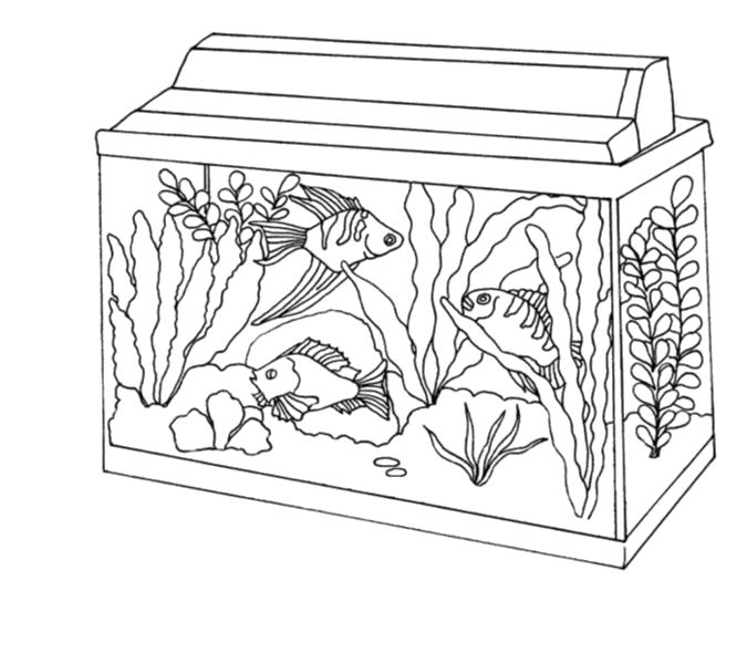Раскраски: мебель и аквариумные рыбки