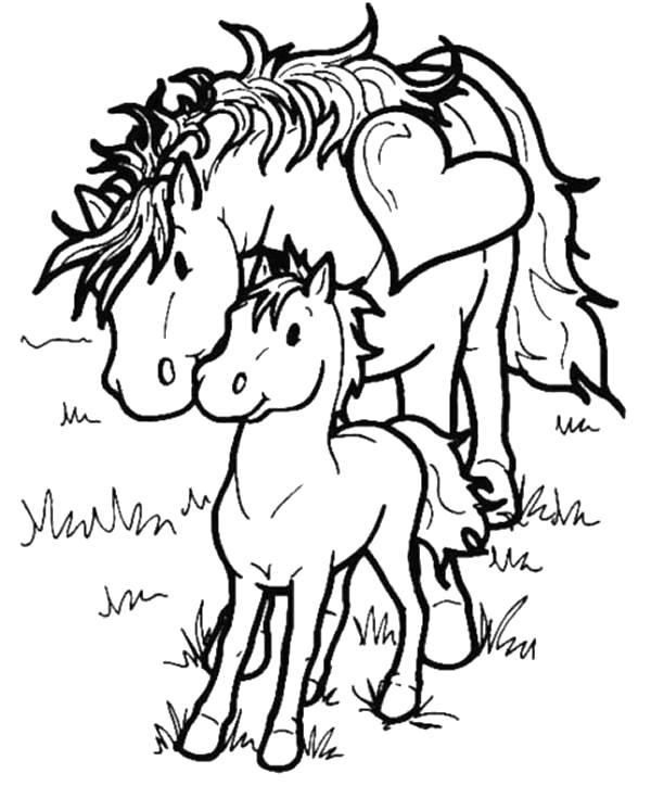 Название: Раскраска лошадь и жеребёнок. Категория: Домашние животные. Теги: Лошадь.