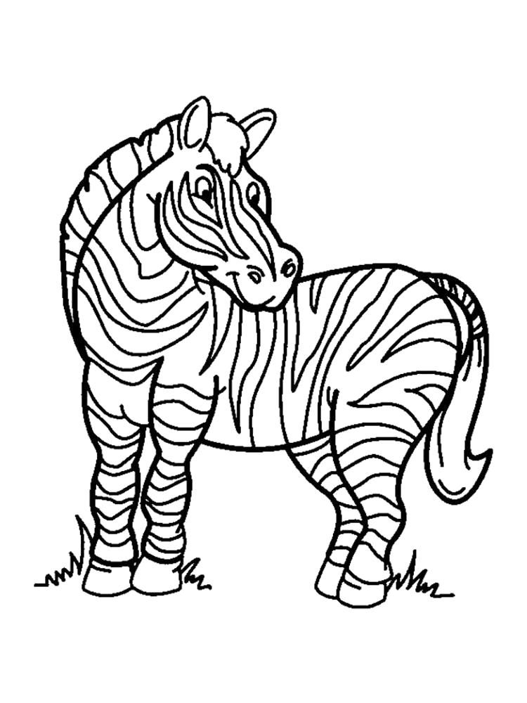 Раскраска Раскраска зебра. Дикие животные