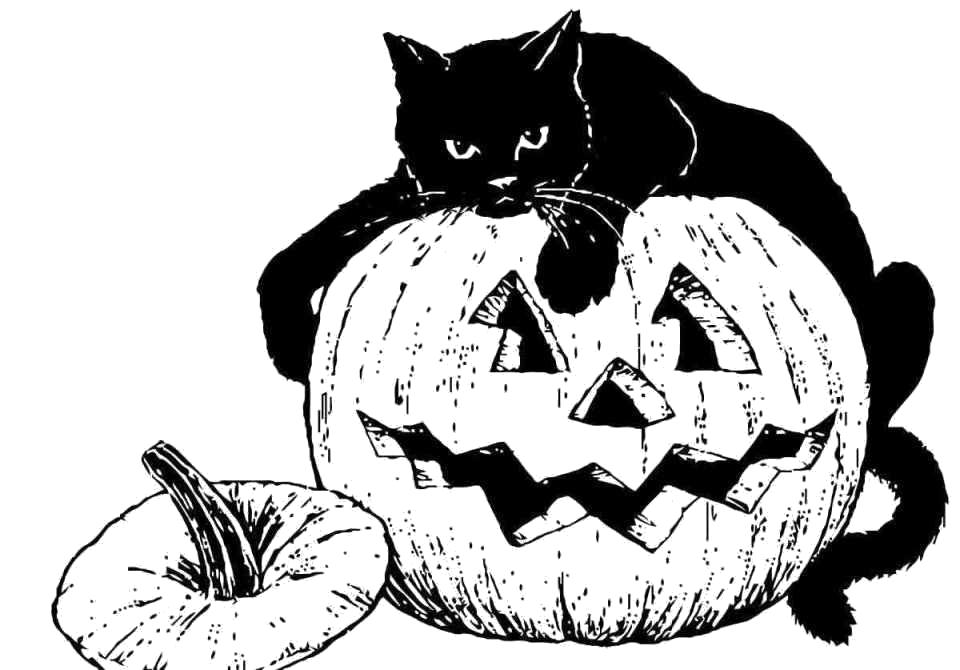 Раскраска праздник Хэллоуин,  кошка лежит на тыкве, лицо из тыквы. Скачать .  Распечатать 