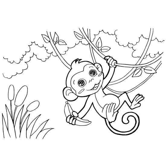 Название: Раскраска обезьяна на лиане. Категория: обезьяна. Теги: обезьяна.