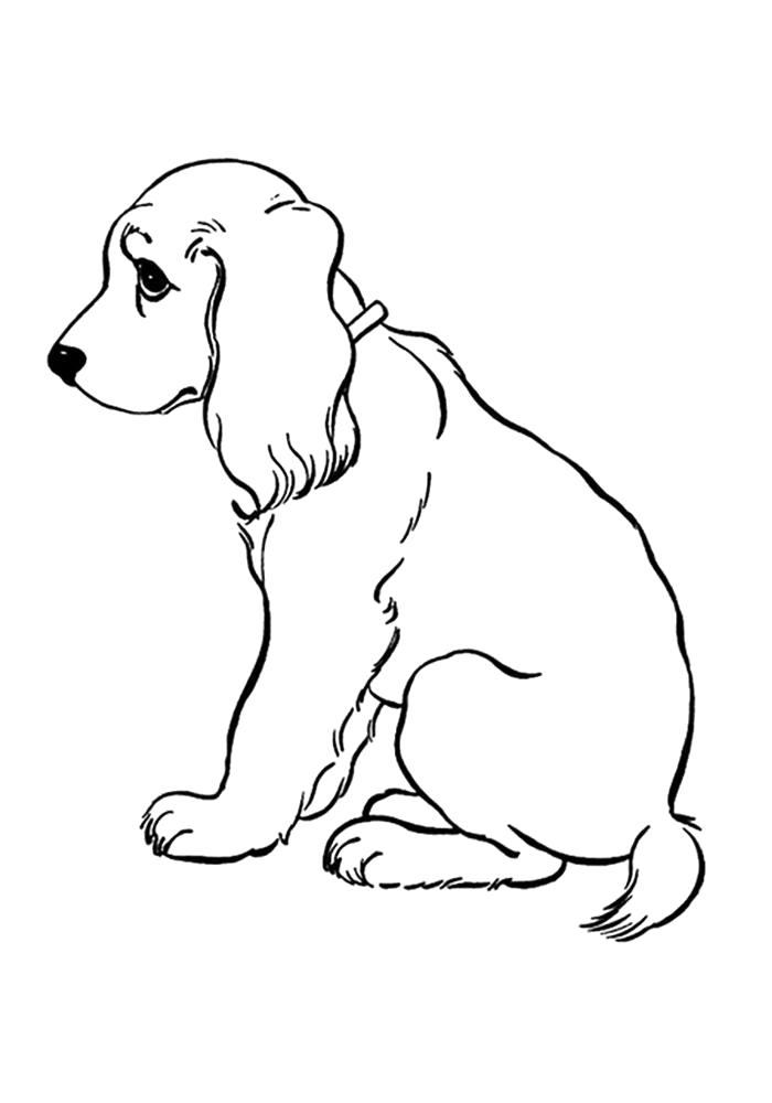 Раскраска Картинки раскраски про собак. Домашние животные