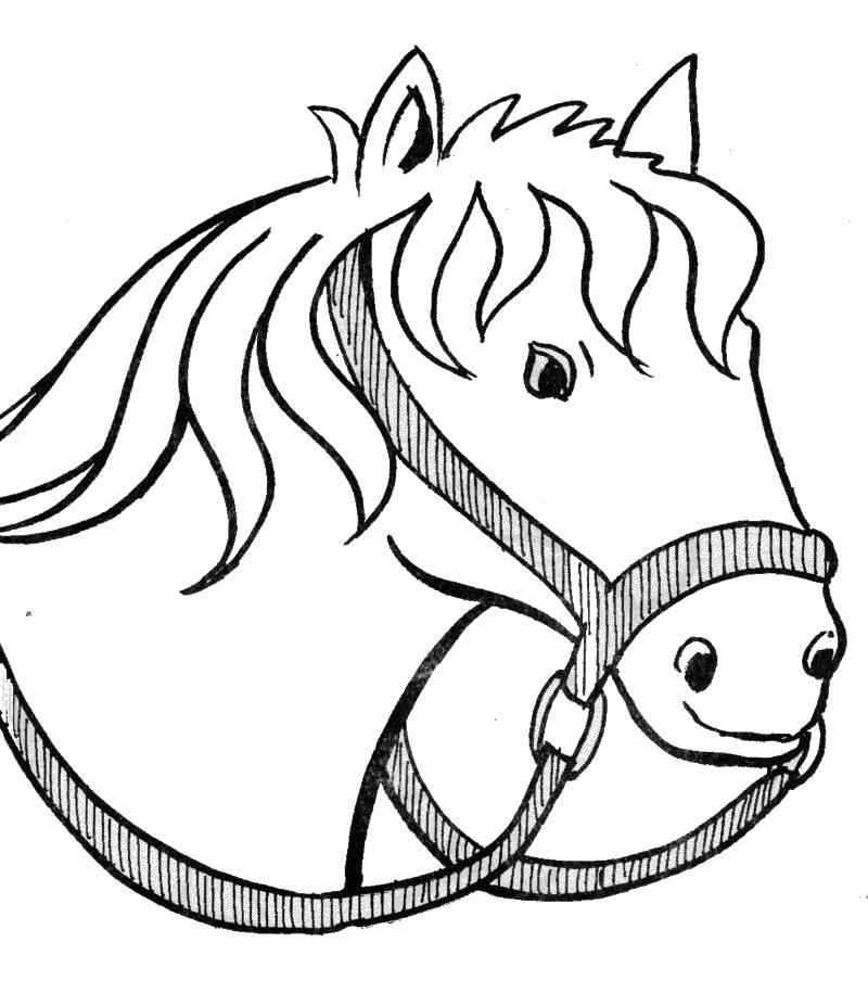 Название: Раскраска лошадка, лошадь в сбруе, уздечка. Категория: Домашние животные. Теги: Лошадь.