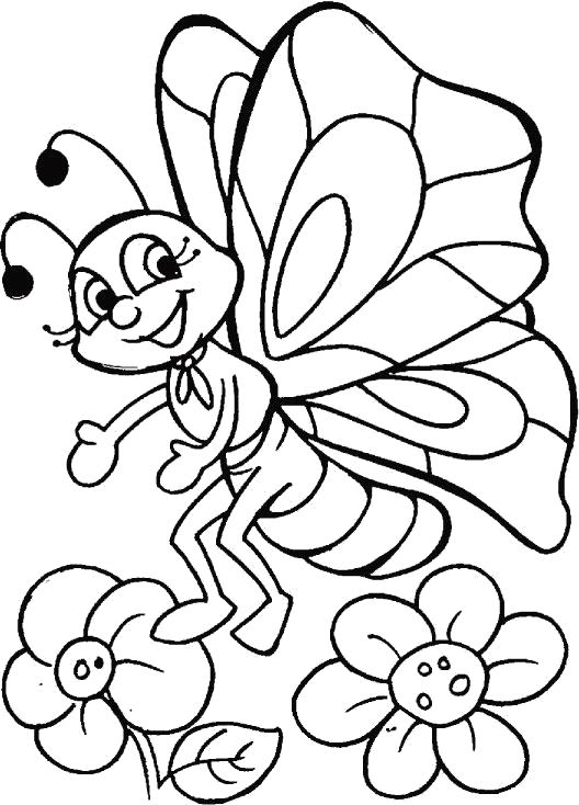 Раскраска Милая бабочка. Скачать Бабочки.  Распечатать Насекомые