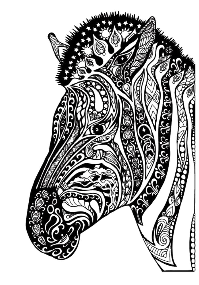 Раскраска Раскраска зебра антистресс. Дикие животные