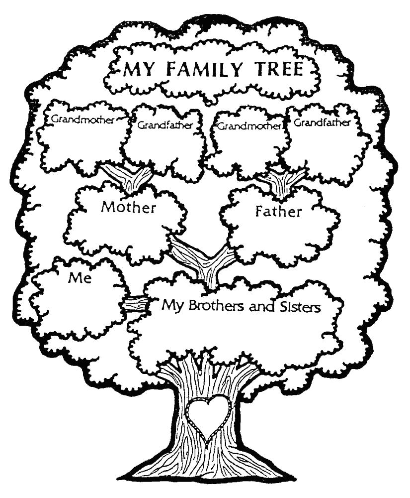 Раскраска Дерево картинки фото, семейное дерево . Контуры дервеьев