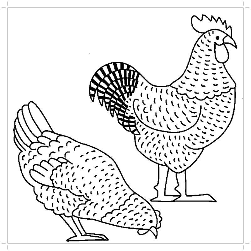 Курица и петух раскраски страницы с фоном | Премиум векторы