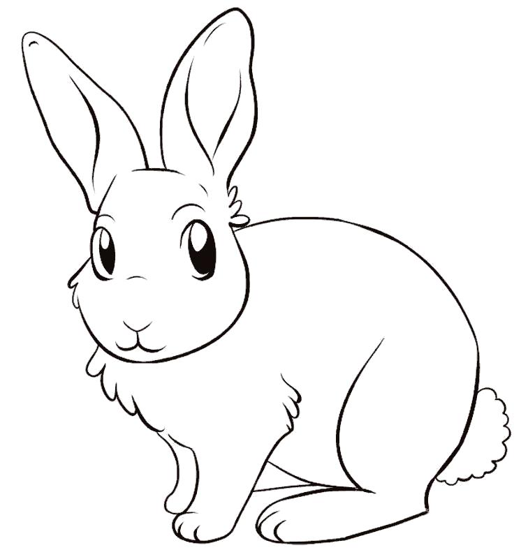 Раскраска маленький заяц. Скачать Заяц.  Распечатать Домашние животные