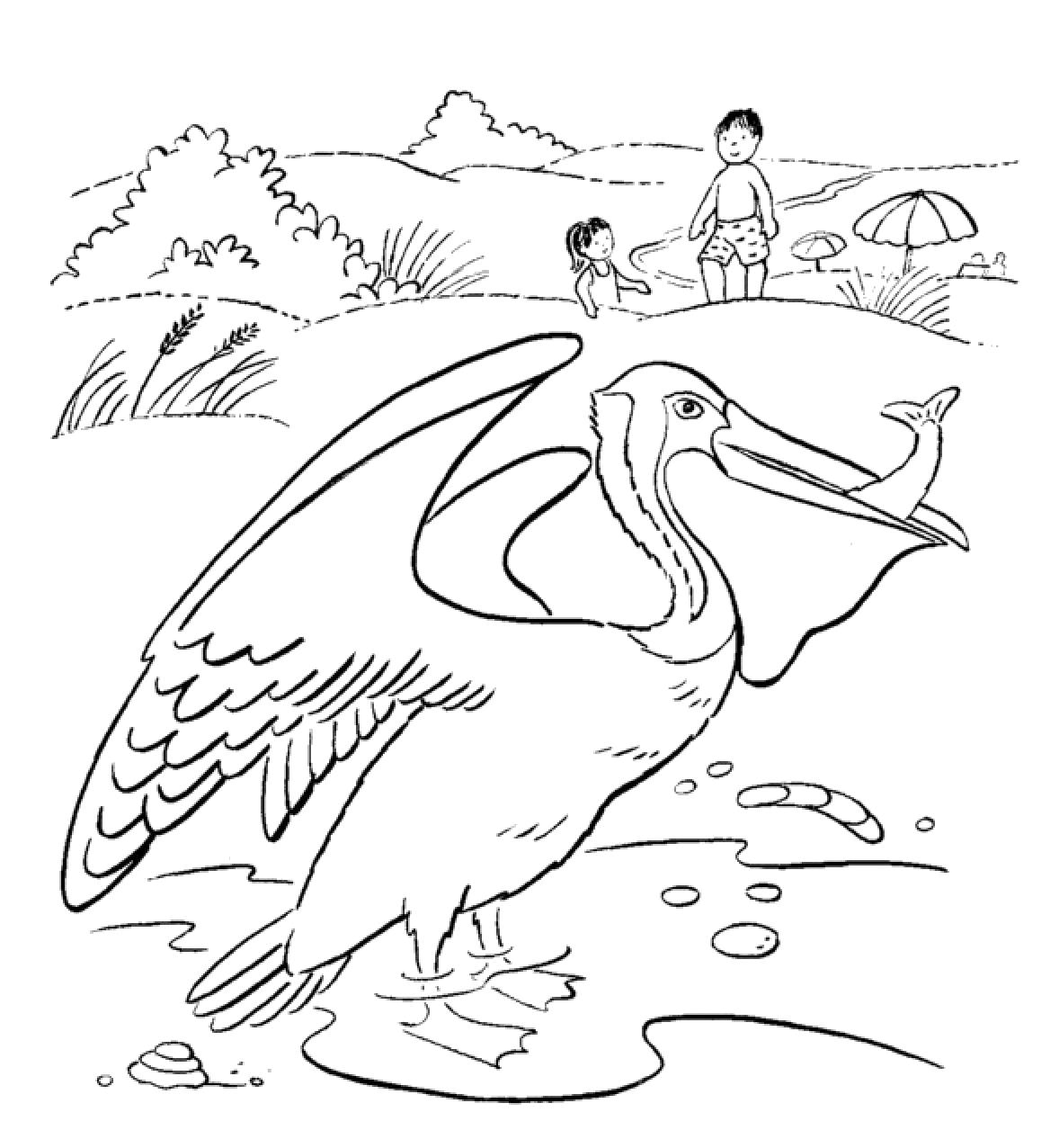 Раскраска пеликан с уловом. Пеликан