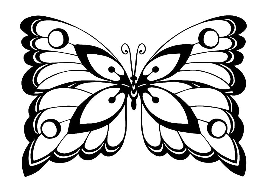 Раскраска бабочки. Насекомые