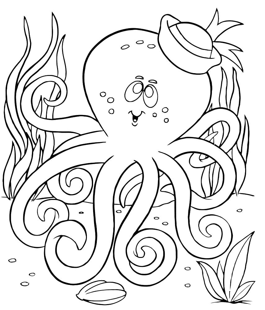 Название: Раскраска медуза в шляпе, морские животные, море, трава. Категория: подводный мир. Теги: подводный мир.