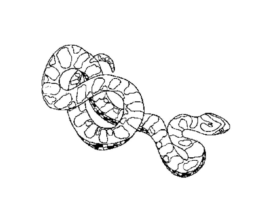 Раскраска Раскраска змея детям. Змея
