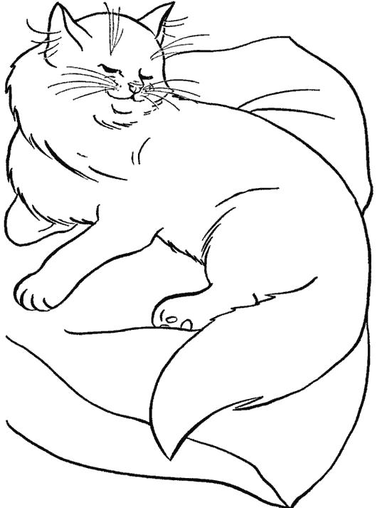 Название: Раскраска кошка. Категория: Домашние животные. Теги: кошка.