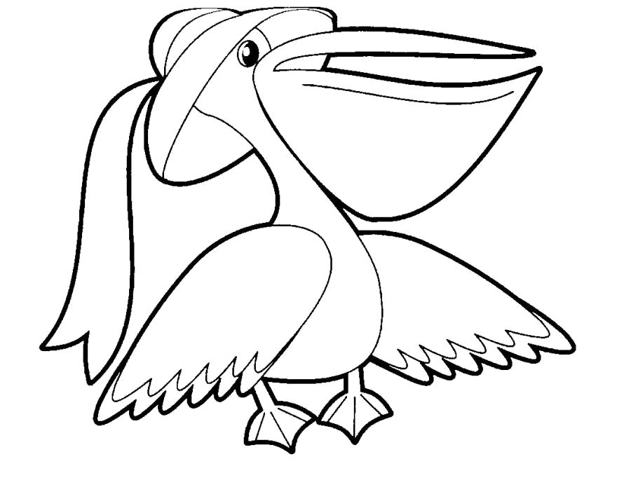 Название: Раскраска Пеликан в шляпе . Категория: Пеликан. Теги: Пеликан.