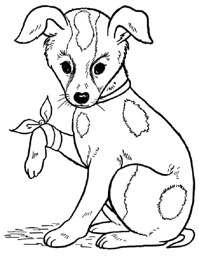 Название: Раскраска Раскраска щенок с больной лапкой. Категория: Щенок. Теги: Щенок.