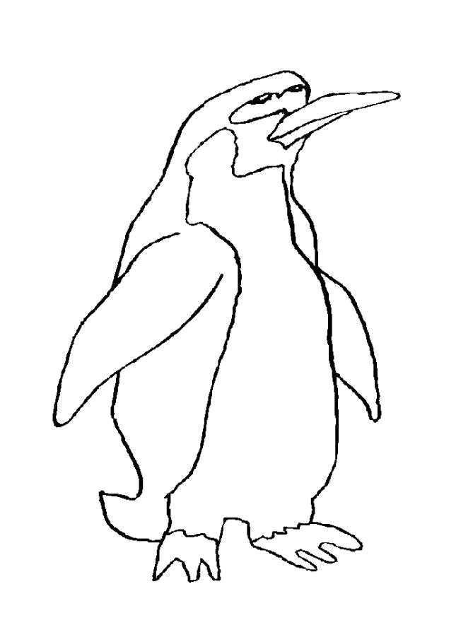 Раскраска Раскраска Пингвин для детей. Пингвин