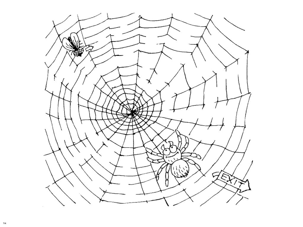 Раскраска Большая паутина. Паук