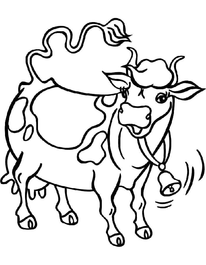 Раскраска  корова с пятнами, корова с колокольчиком, . Скачать Корова.  Распечатать Корова