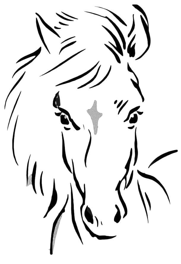 Раскраска Красивая лошадка. 