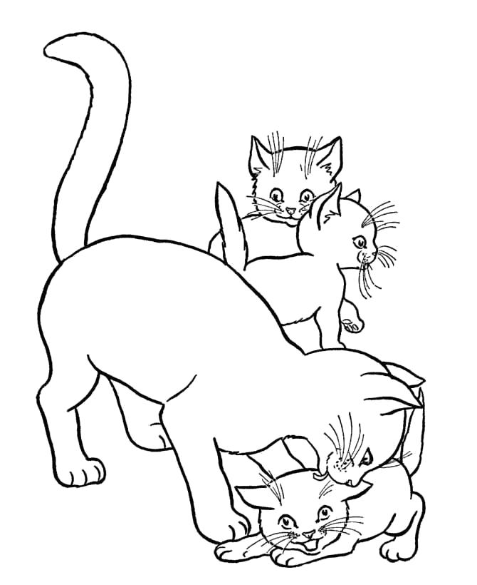 Название: Раскраска Игры с мамой. Категория: Домашние животные. Теги: кошка, Котенок.