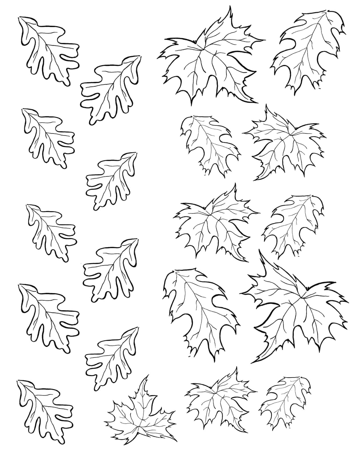Название: Раскраска Раскраска осень | детские раскраски, распечатать,. Категория: растения. Теги: листья.