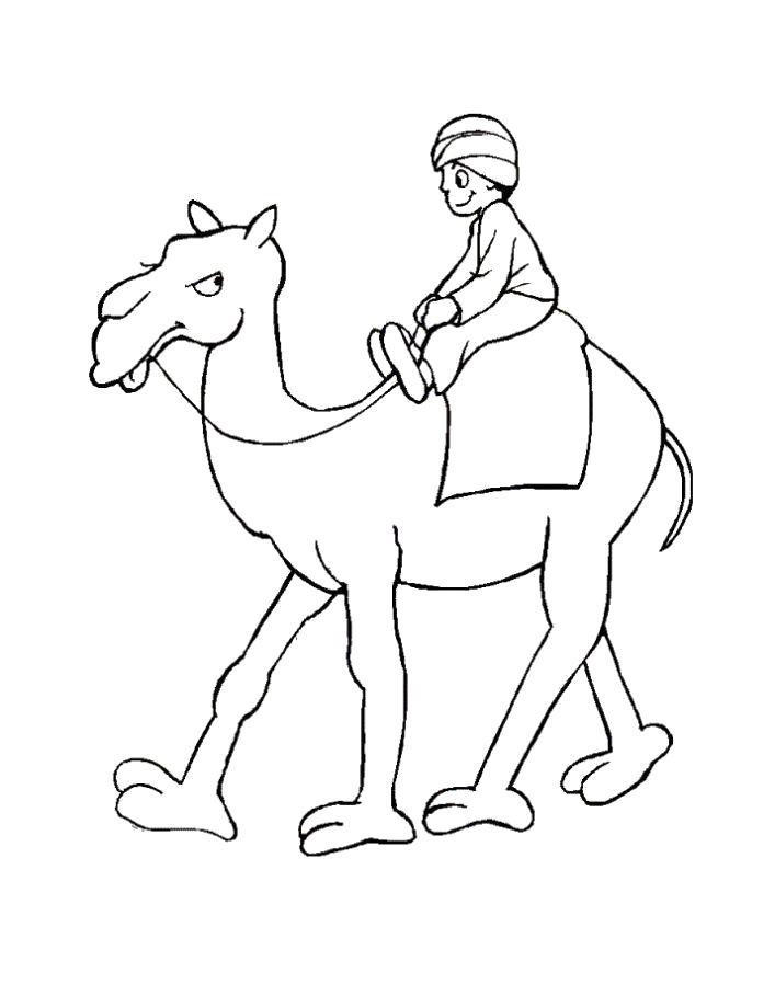 Название: Раскраска Раскраска на верблюде. Категория: Верблюд. Теги: Верблюд.