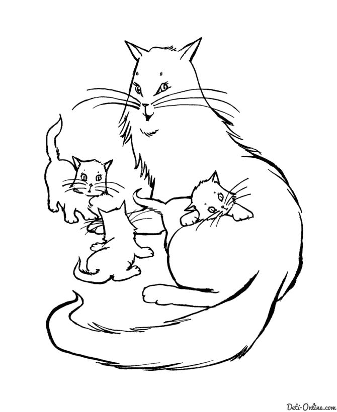 Раскраска  Кошка и три маленьких котенка. Скачать кошка, Котенок.  Распечатать Домашние животные