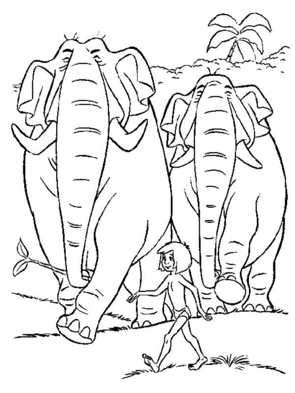 Раскраска  Маугли и два слона . 