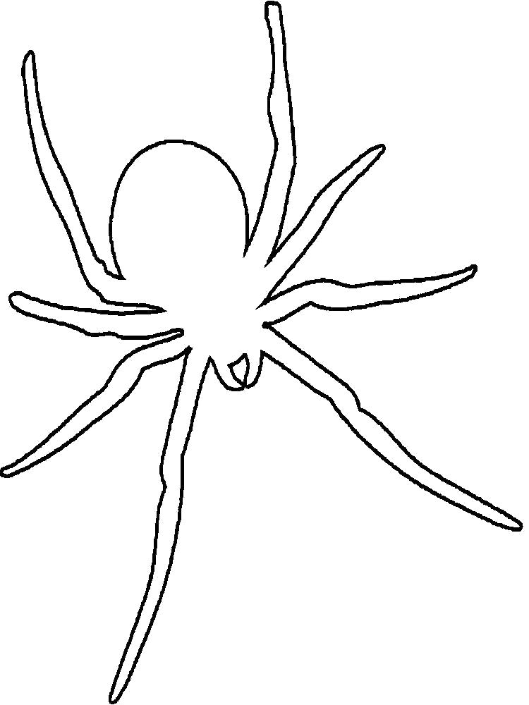 Раскраска Раскраска паук контур для вырезания. Паук