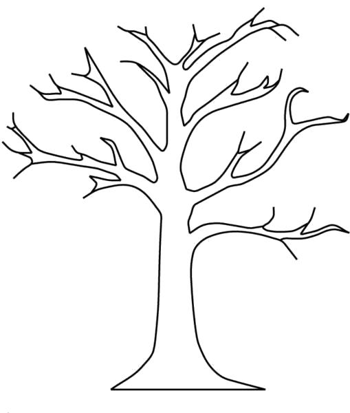 Раскраска Дерево без листьев | Раскраски для детей печать онлайн
