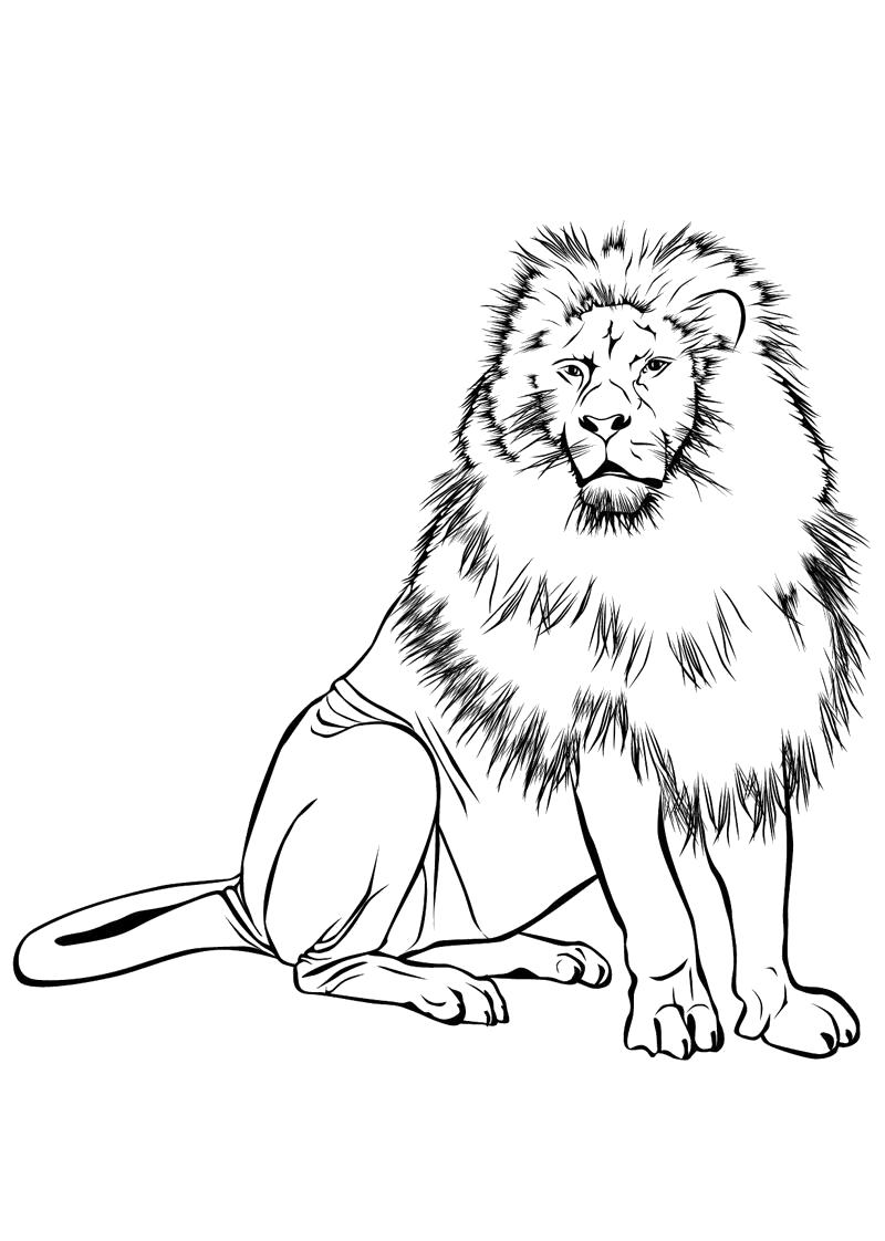 Раскраска Лев король.. Дикие животные