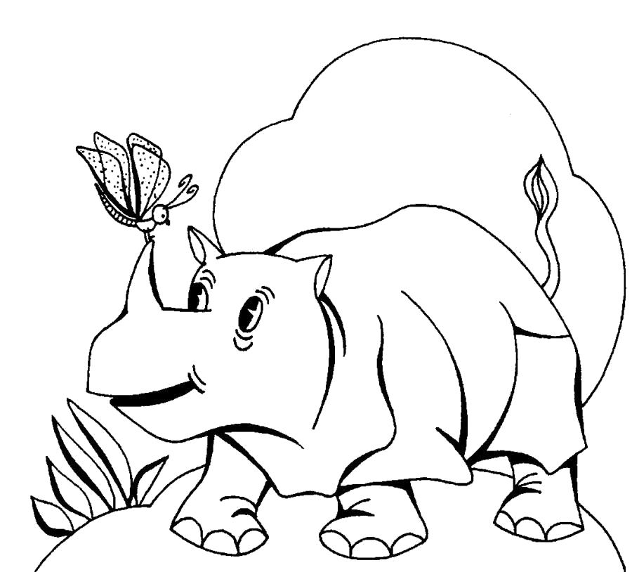 Название: Раскраска Носорог и бабочка . Категория: Дикие животные. Теги: Носорог.