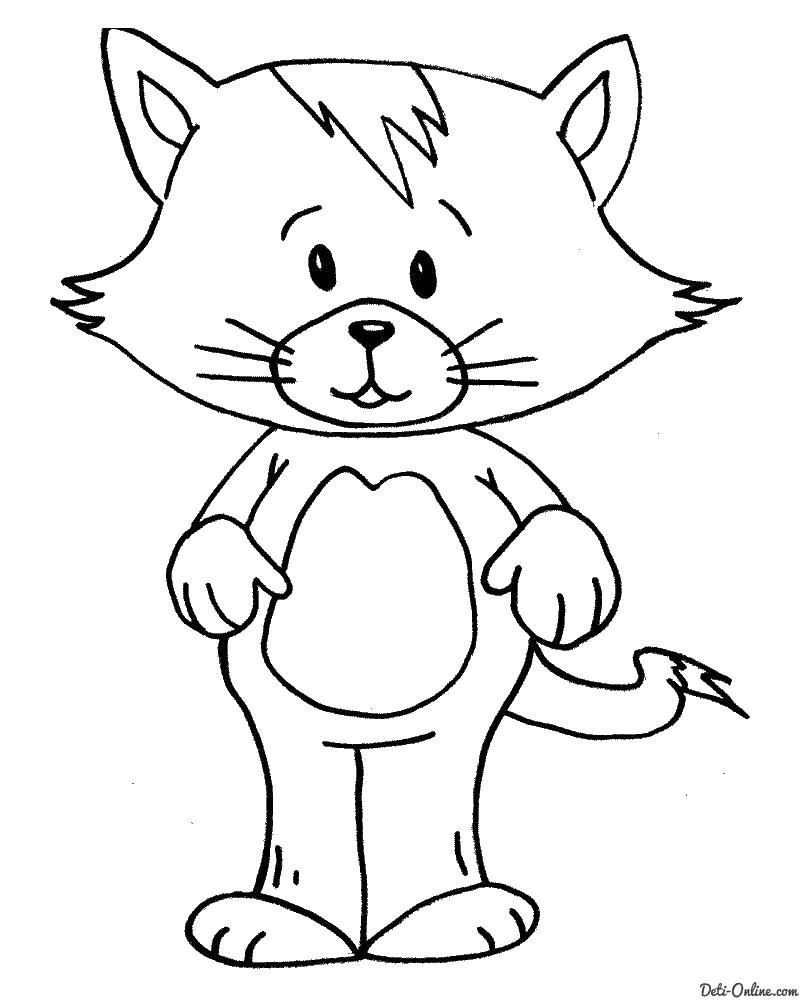 Раскраска  Растерянный кот. Домашние животные