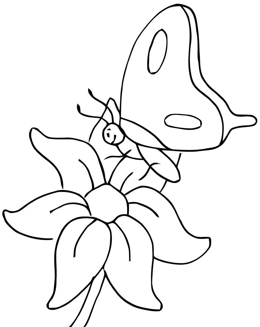 Раскраска Раскраски цветы ирода,раскраски детские пр весенние цветы, бабочка. растения