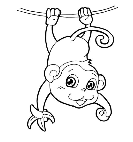 Раскраска обезьяна на лиане ест банан. Скачать обезьяна.  Распечатать обезьяна