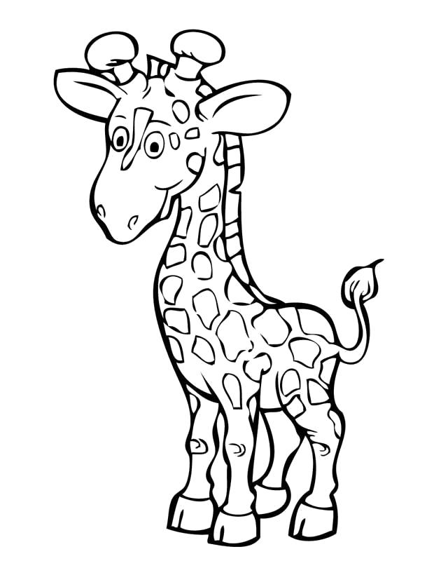 Название: Раскраска маленький Жирафик. Категория: Дикие животные. Теги: жираф.