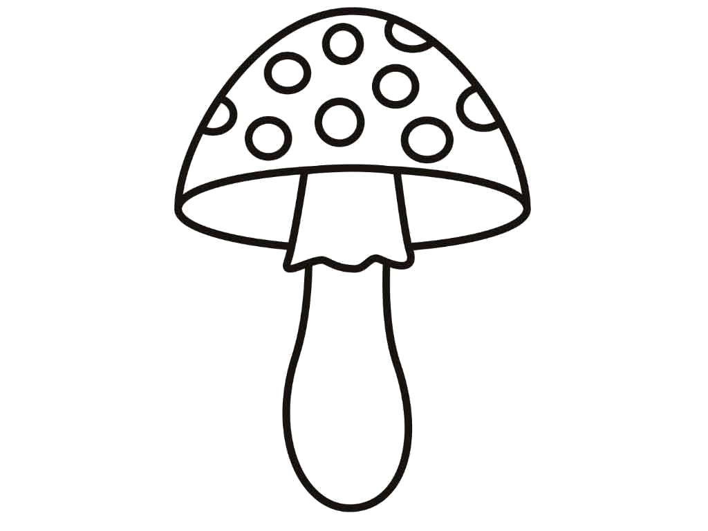 Раскраска раскраска гриб мухомор. растения