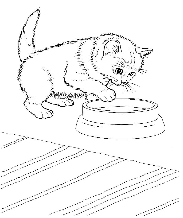 Название: Раскраска Еда для котёнка. Категория: Домашние животные. Теги: Котенок.